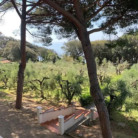 San Giuseppe Casa Per Ferie Quercianella