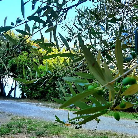 San Giuseppe Casa Per Ferie Hotel *